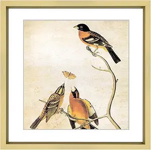 Picture Frame for Embridery